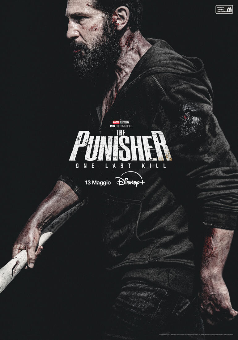 The Punisher: One Last Kill - Poster