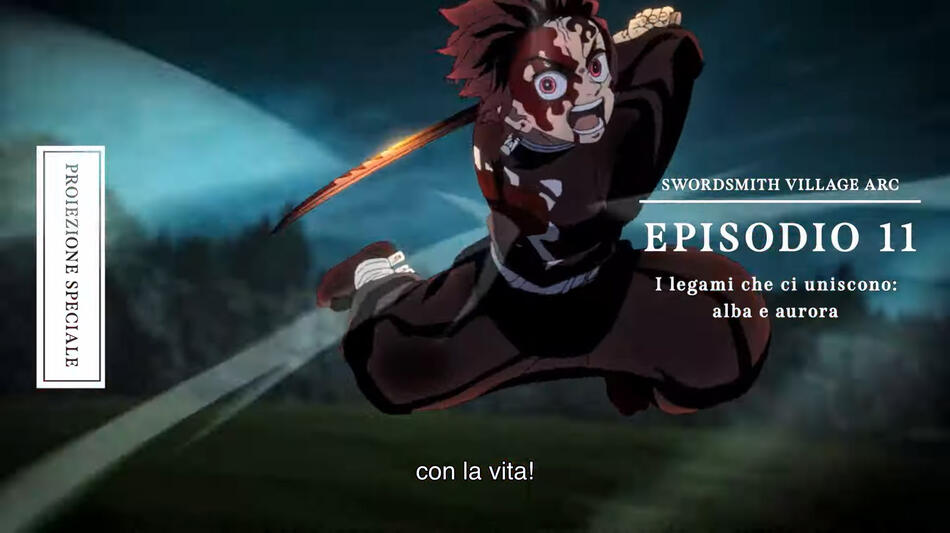 Demon Slayer Kimetsu no Yaiba - Verso L'Allenamento Dei Pilastri