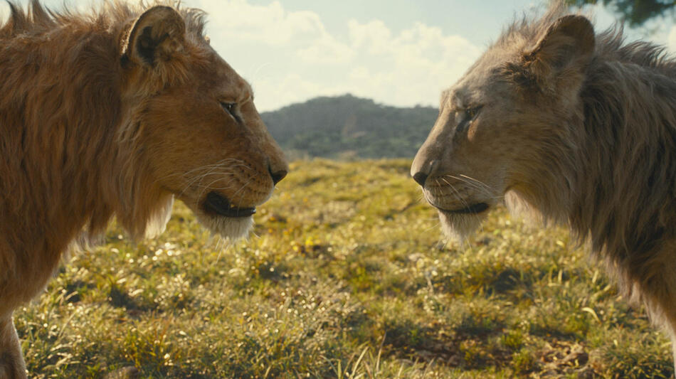 (S-D): Mufasa (voce di Aaron Pierre) e Taka (voce di Kelvin Harrison Jr.) nel live-action Mufasa: Il re leone di Disney