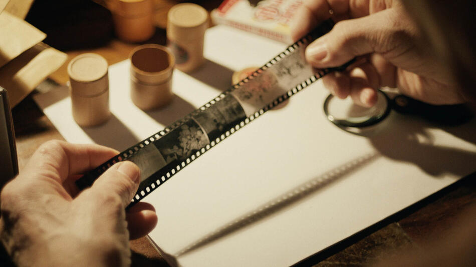 Bestiari, erbari, lapidari di Massimo d'Anolfi e Martina Parenti - Immagine dal film