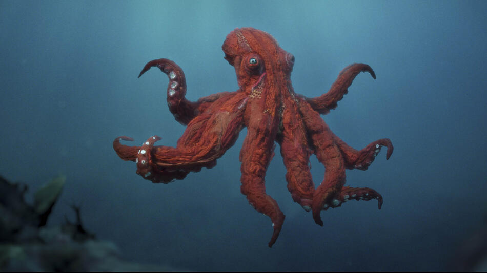 Octopus! - Immagine dal set