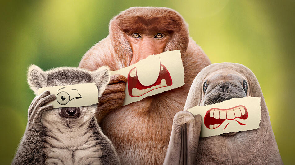 Underdogs (2025) - Poster