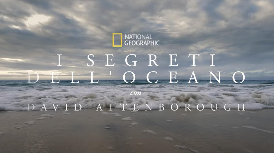 I Segreti dell'Oceano con David Attenborough, scena da trailer