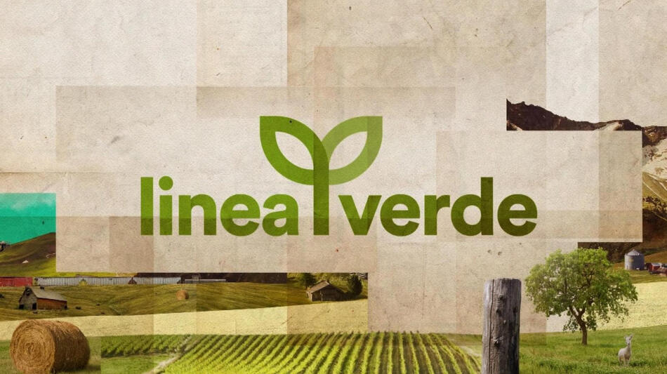Linea Verde - Poster orizzontale 2025