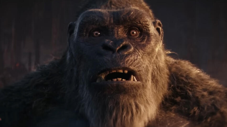 Godzilla e Kong - Il nuovo impero, scena da Trailer 2