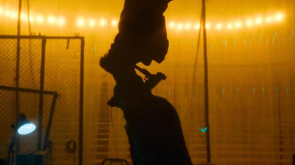 Citadel Honey Bunny, scena da Trailer 2