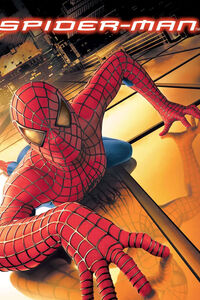 Spider-Man di Sam Raimi - Poster