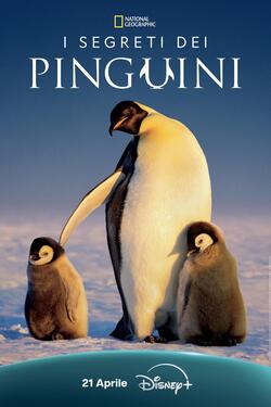 I segreti dei pinguini - Poster