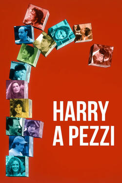 Harry a Pezzi di Woody Allen - Poster