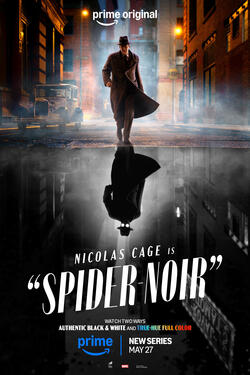 Spider-Noir - Poster verticale 'Combo'