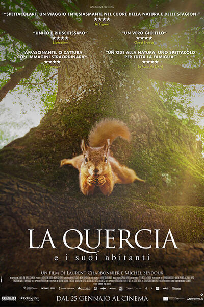 La quercia e i suoi abitanti di Laurent Charbonnier, Michel Seydoux - Poster verticale