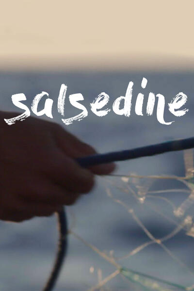 Salsedine di Luca Di Molfetta - Poster