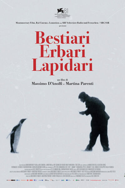 Bestiari, erbari, lapidari di Massimo d'Anolfi e Martina Parenti - Poster
