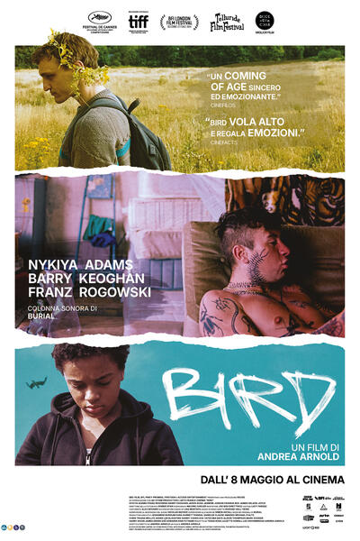 Bird di Andrea Arnonl - Poster
