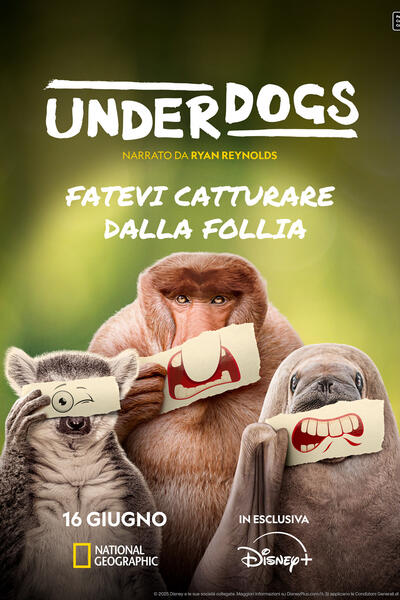 Underdogs (2025) - Poster