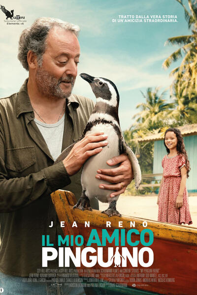 Il Mio Amico Pinguino di David Schurmann - Poster