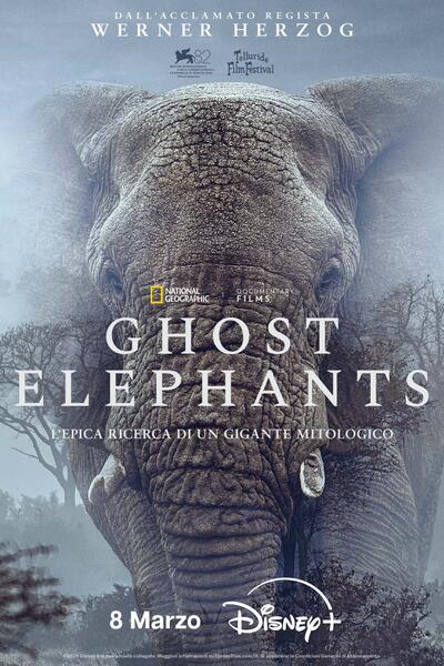 Ghost Elephants - Poster