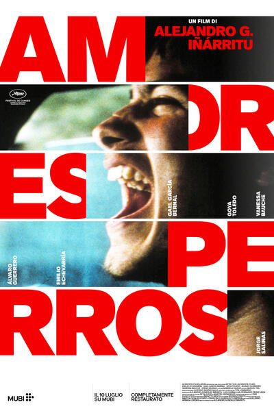 Amores Perros - Poster (2026)