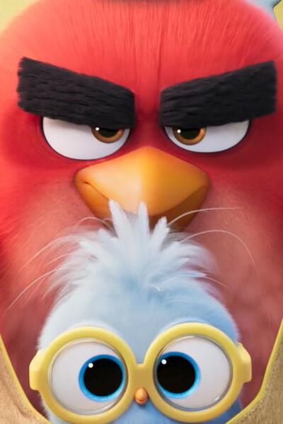 Angry Birds 3 - Terremoto in famiglia, scena da Teaser Trailer