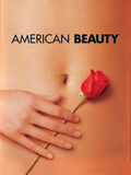 American Beauty di Sam Mendes - Poster