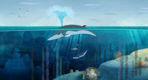 Puffin Rock - Il Film - foto dal film