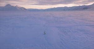 Kina E Yuk Alla Scoperta Del Mondo - foto dal set