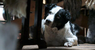 Kina E Yuk Alla Scoperta Del Mondo - foto dal set