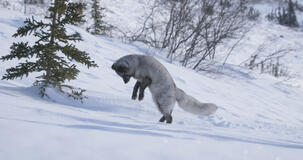 Kina E Yuk Alla Scoperta Del Mondo - foto dal set