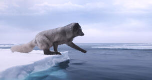 Kina E Yuk Alla Scoperta Del Mondo - foto dal set