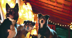 Kina E Yuk Alla Scoperta Del Mondo - foto dal set