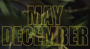 May December di Todd Haynes, scena da trailer