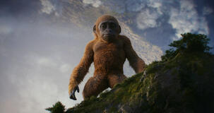 Suko in Godzilla X Kong: The New Empire