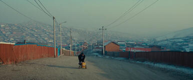 Se solo fossi un orso,  scena da clip Fuori e dentro la capitale