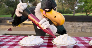 Picchiarello al campo estivo - Immagini dal set