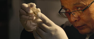 Zhu Sihong in I misteri dell'esercito di terracotta di James Tovell - Immagine dal set