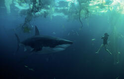 Under Paris - Immagine dal set