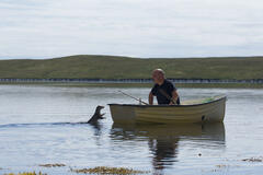 Molly salta fuori dall'acqua fino allo specchio di poppa del gommone di Billy mentre lui guarda dalla barca.