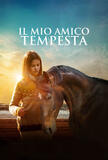 Il mio amico Tempesta di Christian Duguay - Poster