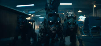 Scena da Sweet Tooth 3x05