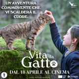 Vita da Gatto di Guillaume Maidatchevsky - Poster