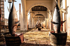 I Leoni di Sicilia 1x01 - Foto dal set