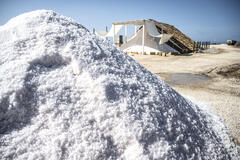 I Leoni di Sicilia 1x01 - Foto dal set