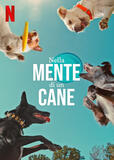 Nella mente di un cane - Poster Netflix