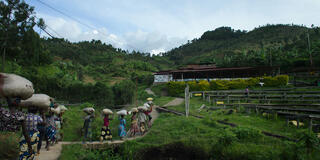 La piantagione di caffè di Justin Musabyimana, Mahembe Coffee, a Mahembe, in Ruanda, come protagonista di Omnivore 1x07