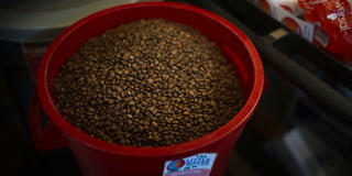 Chicchi di caffè in Omnivore 1x07