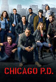 Chicago P.D. - Stagione 11 - Poster