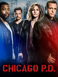 Chicago P.D. - Stagione 8 - Poster