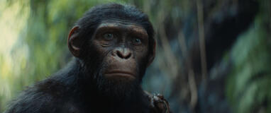 Noa (Owen Teague) in Il Regno del Pianeta delle Scimmie