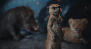 (centro): Timon (voce di Billy Eichner) nel live-action Mufasa: Il re leone di Disney