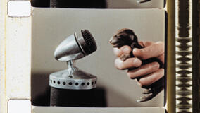 Bestiari, erbari, lapidari di Massimo d'Anolfi e Martina Parenti - Immagine dal film